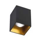 ROSSINI - RSSARG001NOS DOWNLIGHT A PLAFONE QUADRATO NERO-ORO SA
