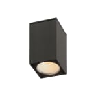 ROSSINI RSSARG10130BTI DOWNLIGHT A PLAFONE QUADRATO TITANIO CON