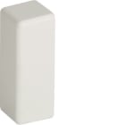 BOCCHIOTTI SPA IBOB05471 LM 40X17 W TERM.MINI
