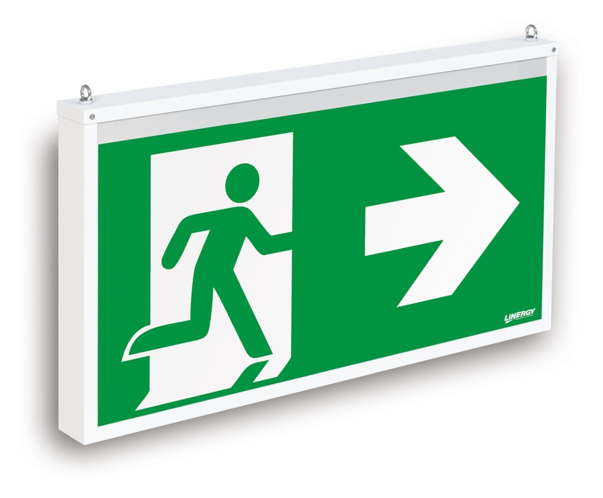 LINERGY SRL - LENBG1503 BIG ONE 80M 1H SE/SA IP40 SPY SYSTEM