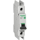 SCHNEIDER ELECTRIC - SNRM9F44106 Interruttore magnetotermico C60BP 1P Z 6A 10kA 277V UL489