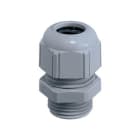 BM SPA - BMM4321 PRESS NYLON IP68 PG21 RAL7001