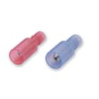 BM SPA - BMM80130 SPINOTTO MASCHIO ISOL NY 1,5-4