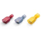 BM SPA - BMM80280 PRESA LAM MASCHIO ISOLNY2,5 6,3X0,8