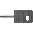 BTICINO BTI2124N SPINE VOLANTI - CHIAVE PER PREDISPOSITOR