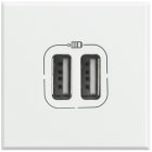 BTICINO - BTIHD4285C2 USB-Lademodul 2-Fach White