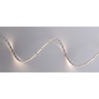 DIGIMAX SRL - DIXC8123340 STRIP 12W 24V 160LED 4000K CRI80 IP20