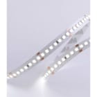 DIGIMAX SRL - DIXC8176730 STRIP 17.3W 24V 200LED 3000K CRI90 IP67