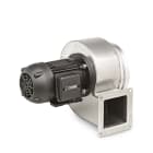 EP SPA - OER0048200 CAI 520 2M