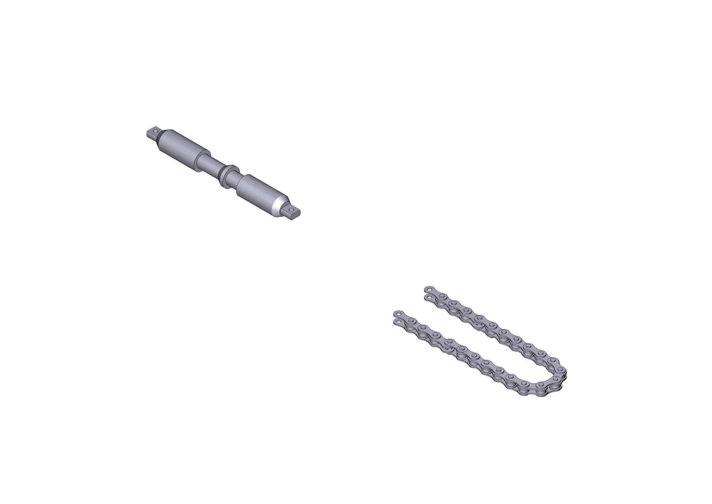 CAME SPA - CMC119RIE118 CATENA TRASMISSIONE - V0683 L=7,7M
