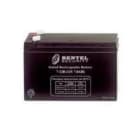 BENTEL SECURITY SR BSYCB12170 12 V 17 AH DIMENSIONI: 181X76X167 MM, PE