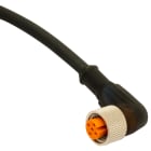 DATASENSING SRL - DTGCD12M/0H-100C5 CON M12 F RAD 5P PUR 10M