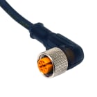 DATASENSING SRL - DTGCD12M/LB-050C5 CON M12 90 4P 5MT PUR LED PNP