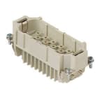 ILME - ILMCDM 40 FRUTTO SPINA 40 POLI