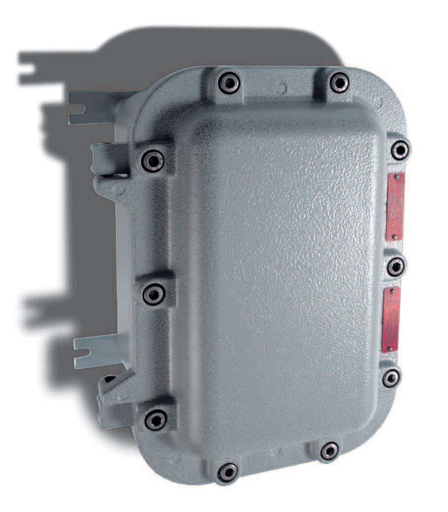 CORTEM SPA COREJB-3A CUSTODIA EX II 2GD EX D IIB+H2