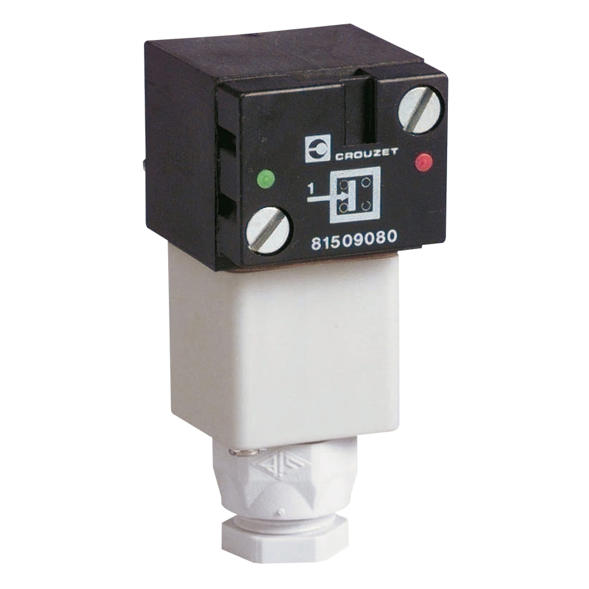 CROUZET CRO81509080 PRESSURE DETECTION, ELECTRICAL OUTPUT, S