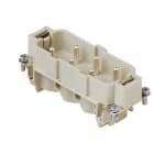 ILME - ILMCPM 06 FRUTTO SPINA 6 POLI