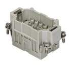 ILME - ILMCQEM 18 FRUTTO SPINA 18 POLI