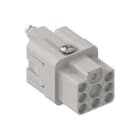 ILME ILMCQF 07 FRUTTO PRESA 7P 10A