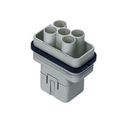 ILME - ILMCQM 04/2 FRUTTO SPINA 04/2