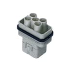ILME ILMCQM 04/2 FRUTTO SPINA 04/2