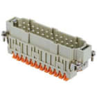 ILME - ILMCSHM 24 FR.SPINA 24 POLI SQUICH