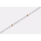 DIGIMAX SRL - DIXC81933RGB4 STRIP 19.2W 24V 60LED RGB+4000K IP20