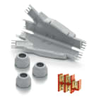 RAYTECH SRL RYTDINOY DINO Y GIUNTO IN GEL DERIV + MORS (CF 1