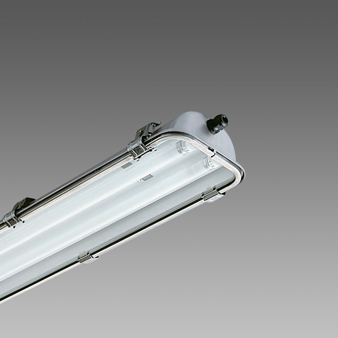 DISANO DIS16246312 FORMA 999 FL 2X36 CEL-D INOX