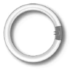 DURALAMP SPA - DRL3286T CIRCOLINA G10Q 32W 6500K TRIFOSFORO