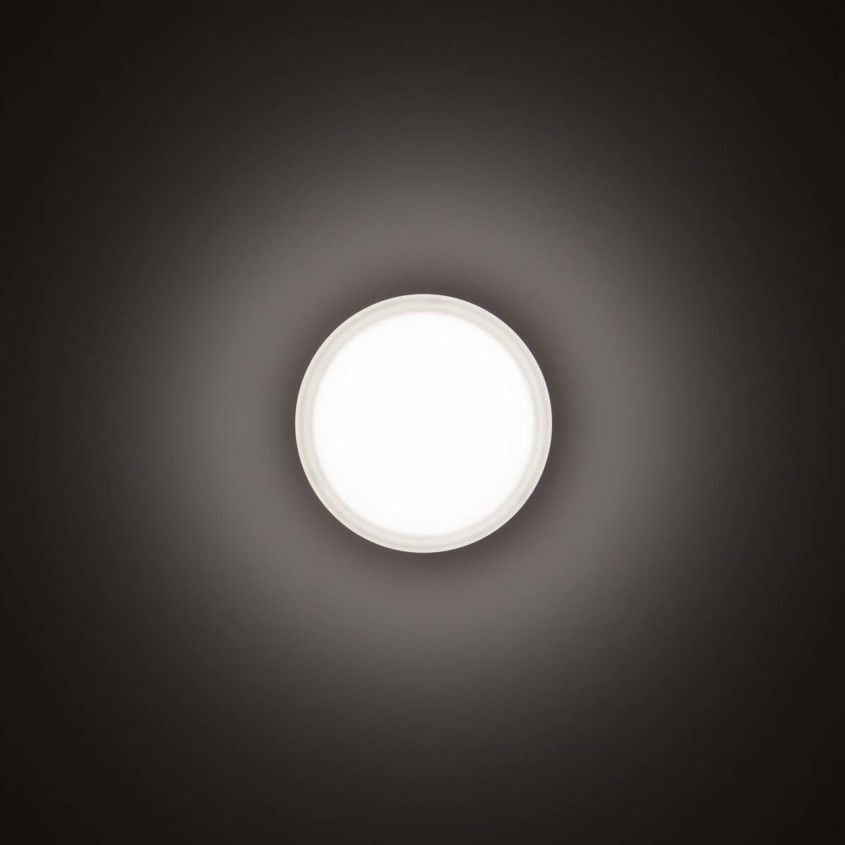 PERFORMANCE IN LIGHT - PRI3109455 DROP 22 LED 11W SMD 4000K BK81