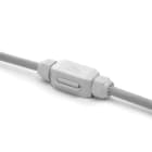 RAYTECH SRL RYTDINO DINO GIUNTO IN GEL + MORS (CF 1 PZ)