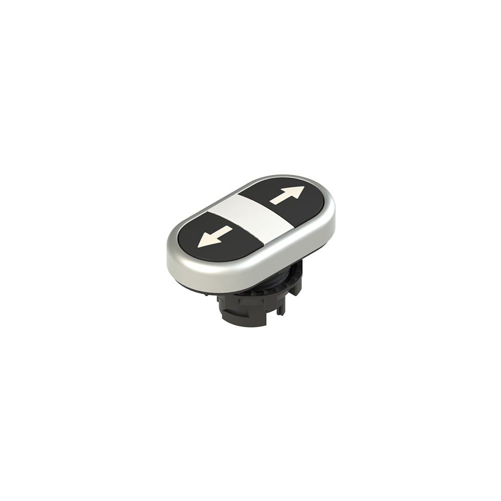 PIZZATO ELETTRICA PZZE2 1PDRL9AAAB PULSANTE DOPPIO INFERIORE RASATO CON MAR