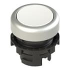 PIZZATO ELETTRICA PZZE2 4PL2R2290 PULSANTE LUMINOSO RASATO BIANCO