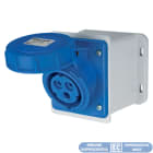 ELETTROCANALI SRL - ETNEC694031D PRESA BASE DIRITTA IP67 24V 3P 16A