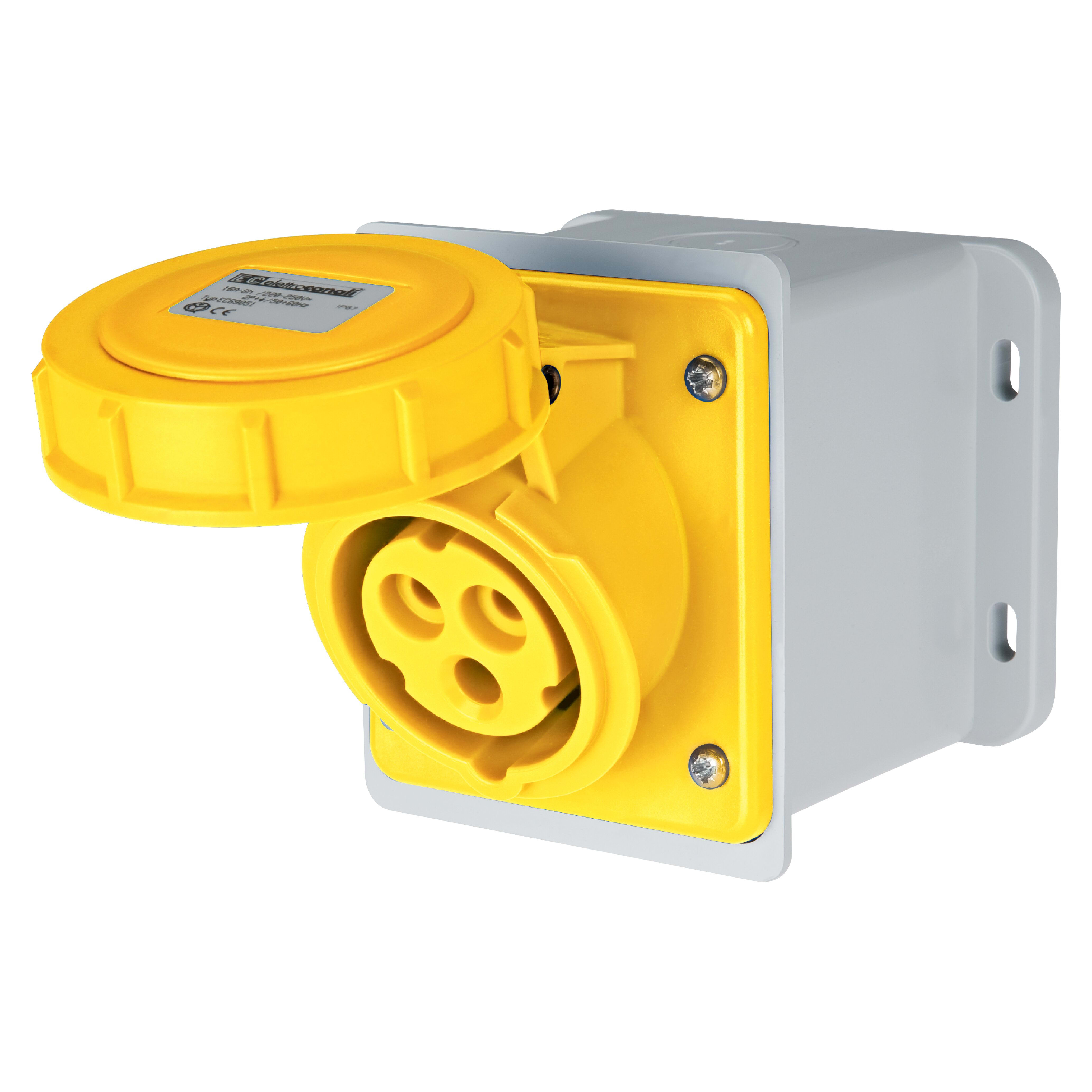 ELETTROCANALI SRL ETNEC691041D PRESA BASE DIRITTA IP67 110V 2P+T 16 A
