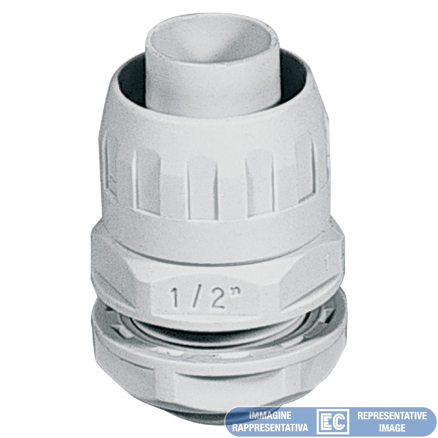 ELETTROCANALI SRL ETNECGX10M RAC. IP65 GUAINA-SCATOLA D.10 FIL. METRI