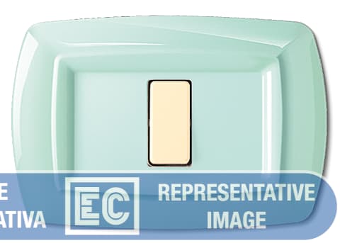 ELETTROCANALI SRL ETNECL2597PG PLACCA TONDO 2 MOD.RAVV.VERDE PASTELLO
