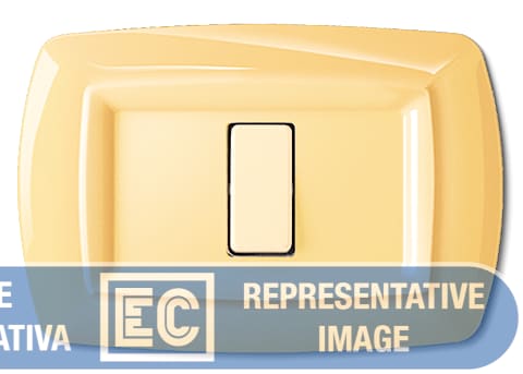 ELETTROCANALI SRL ETNECL2592PO PLACCA TONDO 2 MOD.ARANCIONE PASTELLO