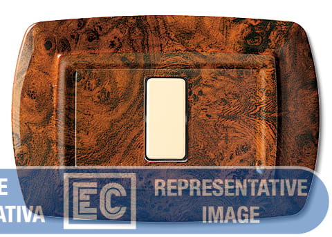 ELETTROCANALI SRL ETNECL2597RA PLACCA TONDO 2 MOD.RAVVICINATI RADICA