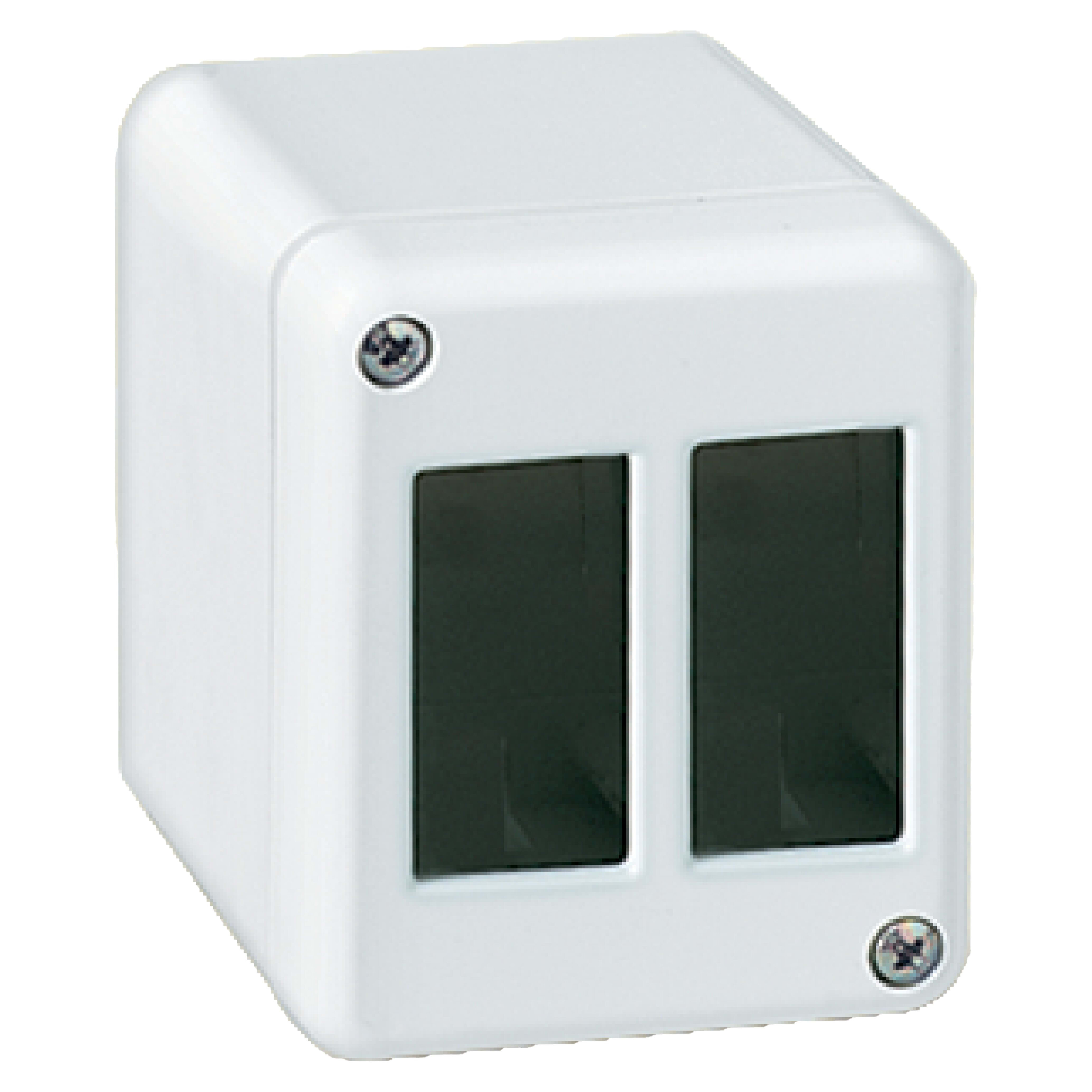 ELETTROCANALI SRL ETNECSM2 SCATOLA X APP. AUTOPORTANTE 2 APPARECCHI