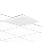 PERFORMANCE IN LIGHT - PRI3116603 ELA 600 PR 28.5 830 UGR<19