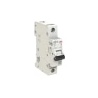 ELETTRA SRL AEG - AEGEN41C32 INT.AUT.AEG EN40 1P C 32A 4,5kA 1M