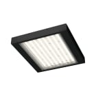 ESSE-CI SRL - ESC02DS210K365B ERGO/DS 210W 600MA 3000K CRI>90 IP65 BIA