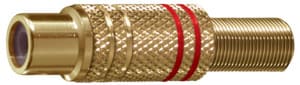ELCART DISTRIBUTION ERT040203600 PRESA VOL. RCA DORATA ROSSA POL.