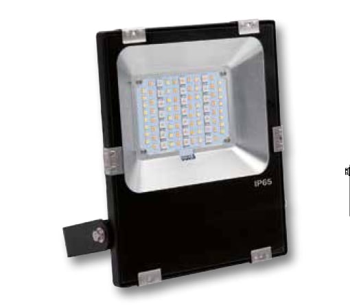 ELCART DISTRIBUTION ERT184159900 PROIET.LED ESTER.RGBWW/W 30W IP65