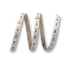 ELCART DISTRIBUTION ERT186516100 STRISCIA LED 19,2W/M RGBBF24VIP20