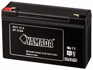 ELCART DISTRIBUTION ERT300604500 BATTERIA RIC.PIOMBO 6V 12,0 AH