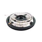 ESSE-CI SRL - ESC83SL10K4 STRIP LED 10W/M 24V CRI>90 4000K BOBINA