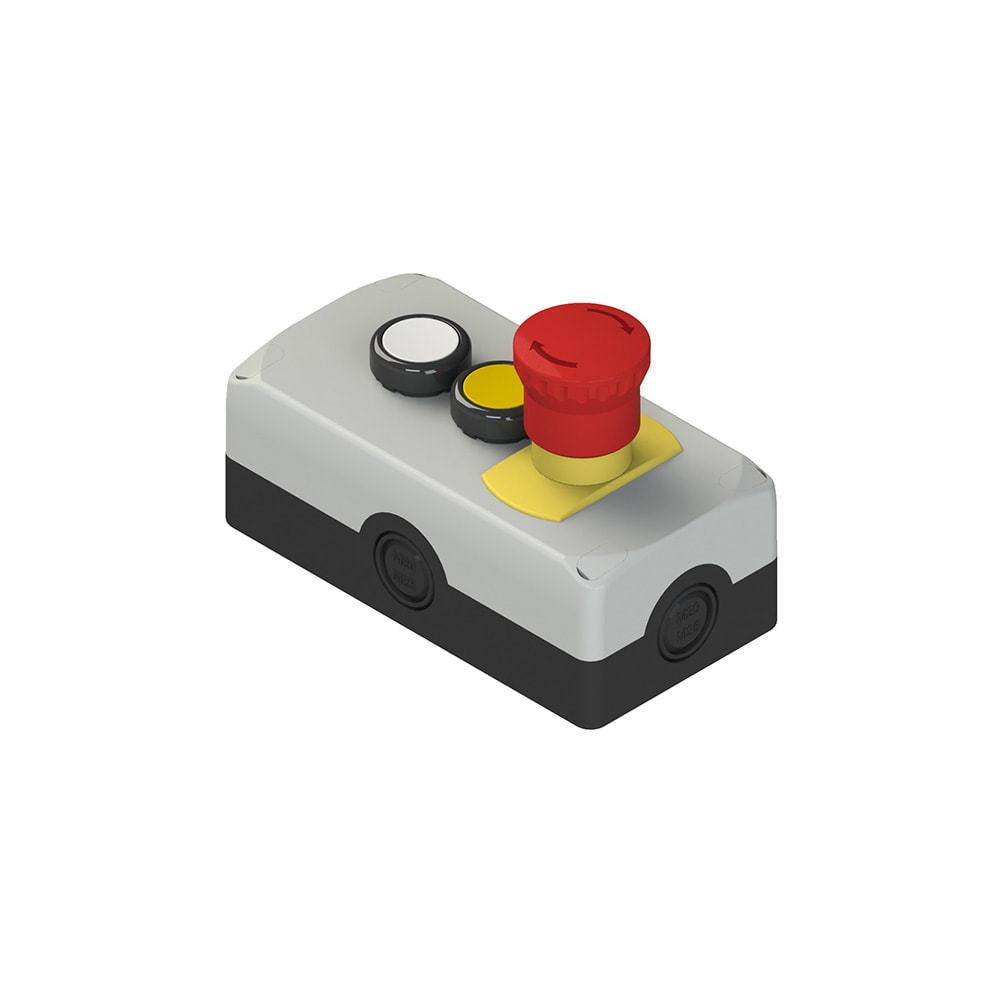 PIZZATO ELETTRICA - PZZES AC33076 UNIT COMPLETA CON SCATOLA 2 PULSANTI RA